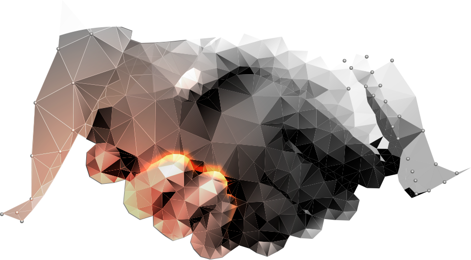 partner tecnológico